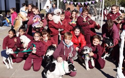 «Gran desfile de mascotas» con motivo de celebrar el Día del Animal (Fotos)