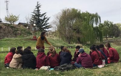 Alumnos del Cole realizaron el «Circuito lector», en el marco de la Maratón de Lectura