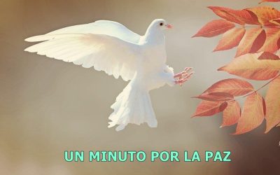 El Colegio Nuestra Señora de Luján invita a sumarse al «minuto de oración por la paz y la patria»