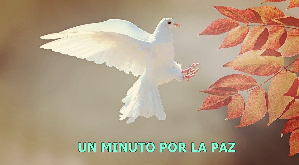 El Colegio Nuestra Señora de Luján invita a sumarse al «minuto de oración por la paz y la patria»