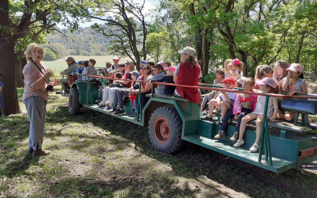 Salida Educativa de Tercera Sección a Mahuida Co